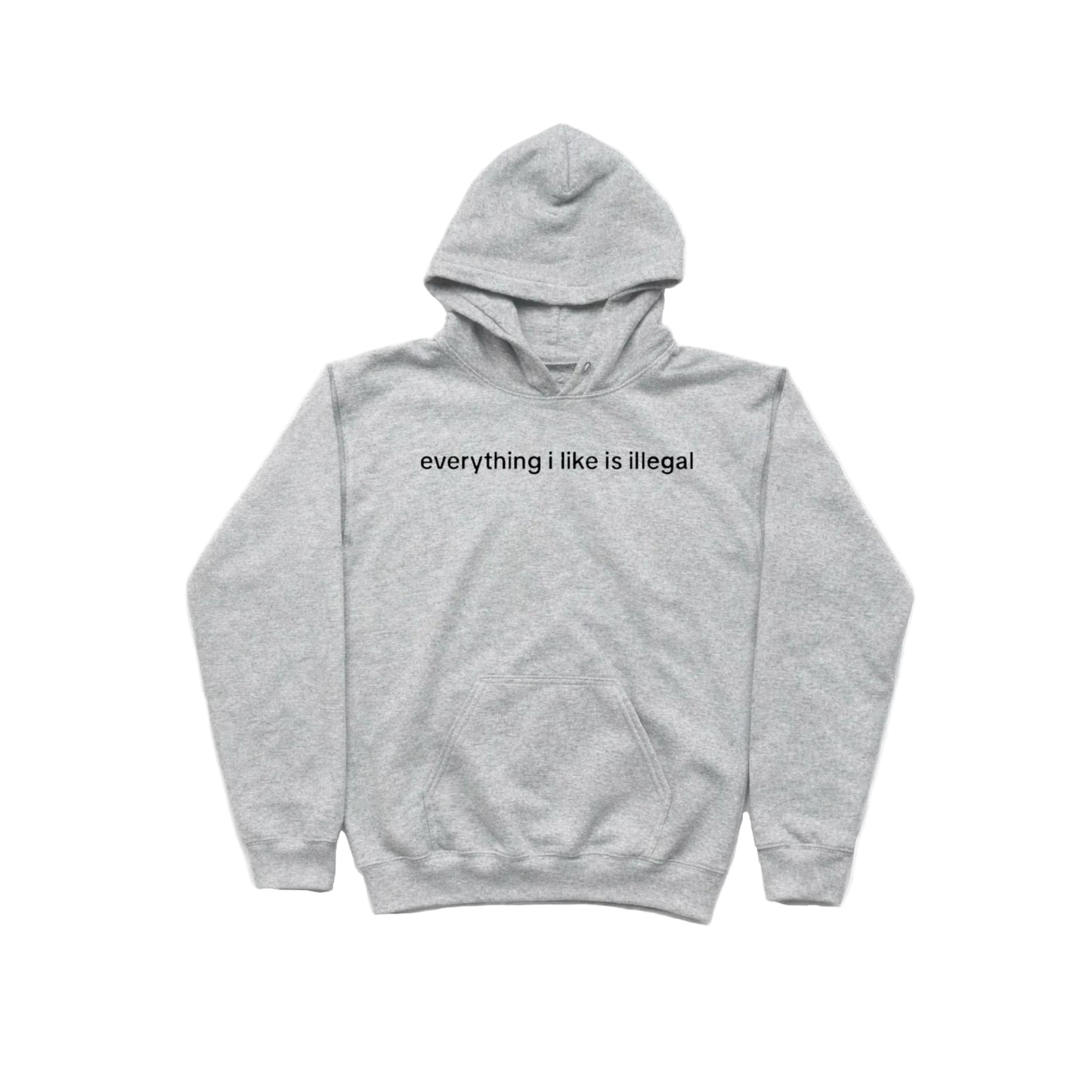 everything i like is illegal HOODIE