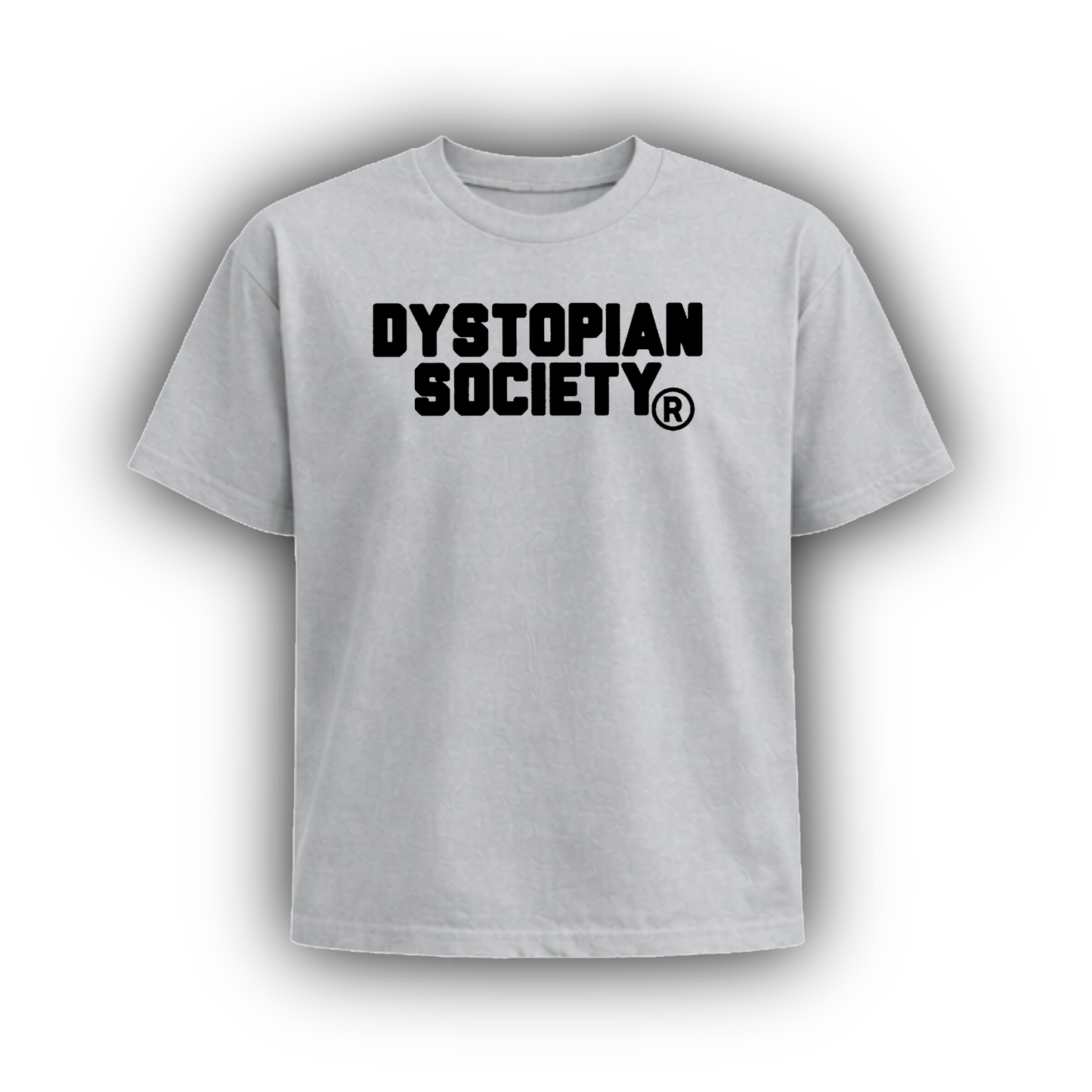 DYSTOPIAN SOCIETY