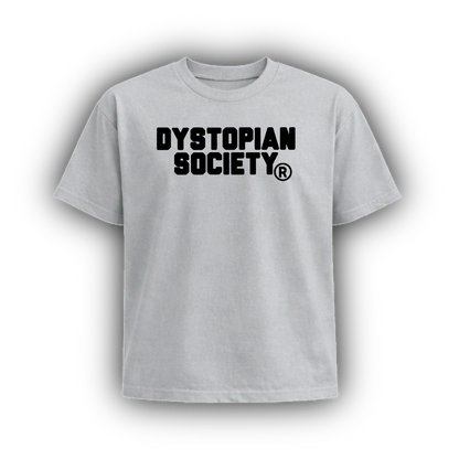 DYSTOPIAN SOCIETY
