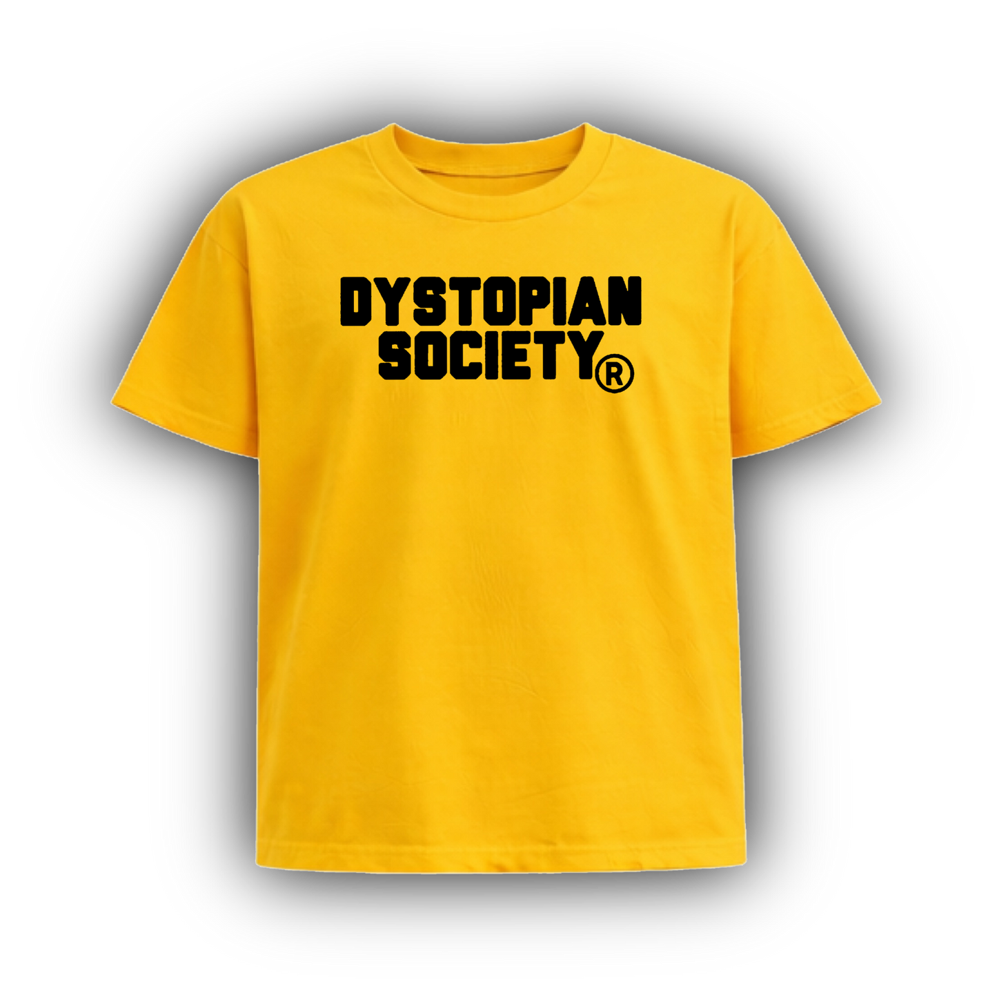 DYSTOPIAN SOCIETY
