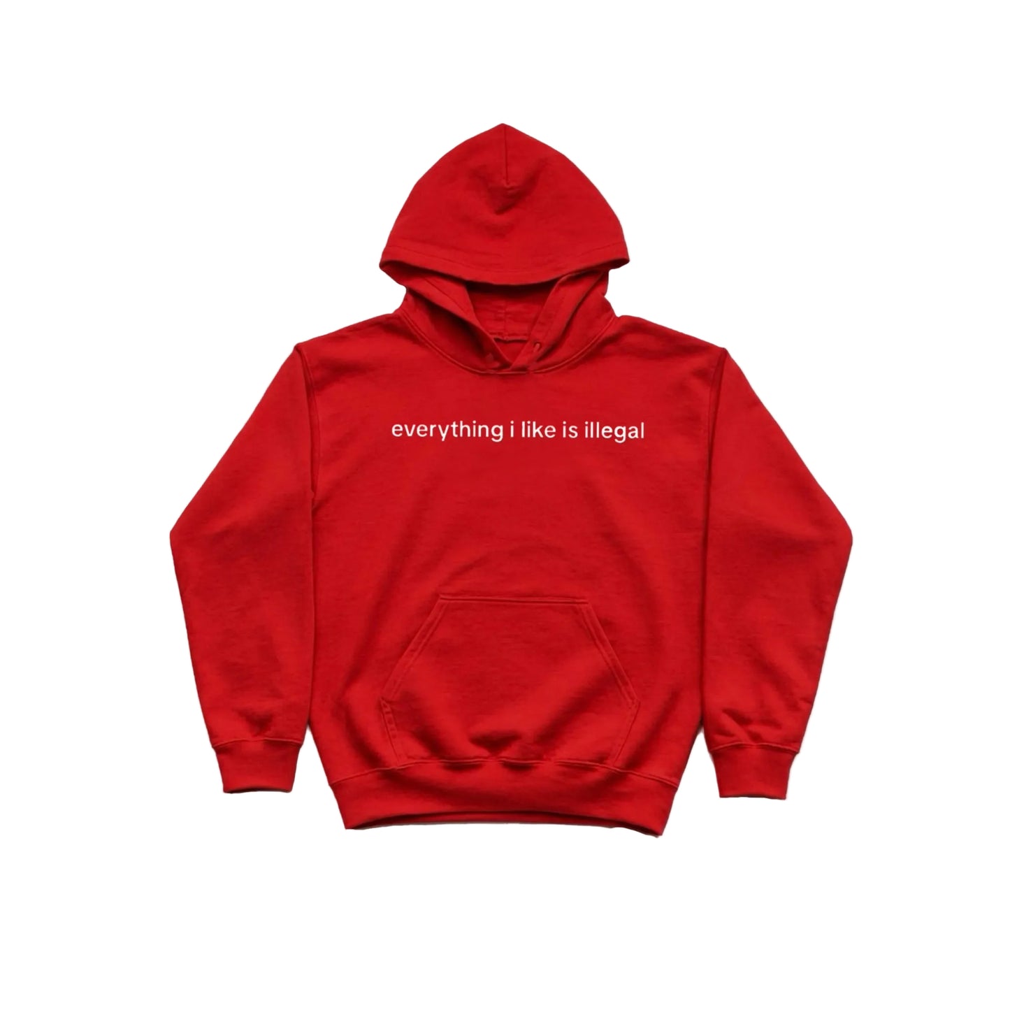 everything i like is illegal HOODIE