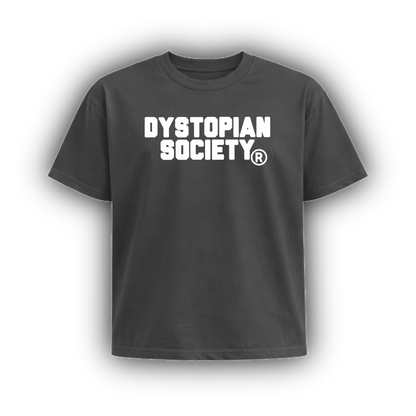DYSTOPIAN SOCIETY