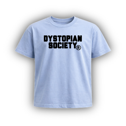 DYSTOPIAN SOCIETY